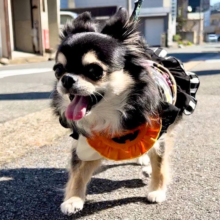 5868b6a3 a5db 4744 afae 680494551c04 1698718078707