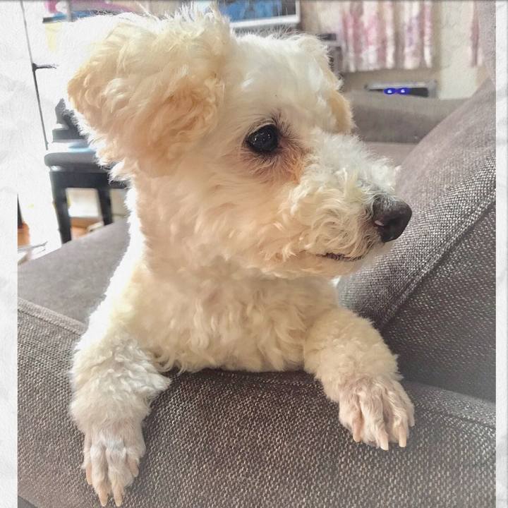 5868c48a c8ad 46db a63f 06f87fb0ce0e 1510745865315