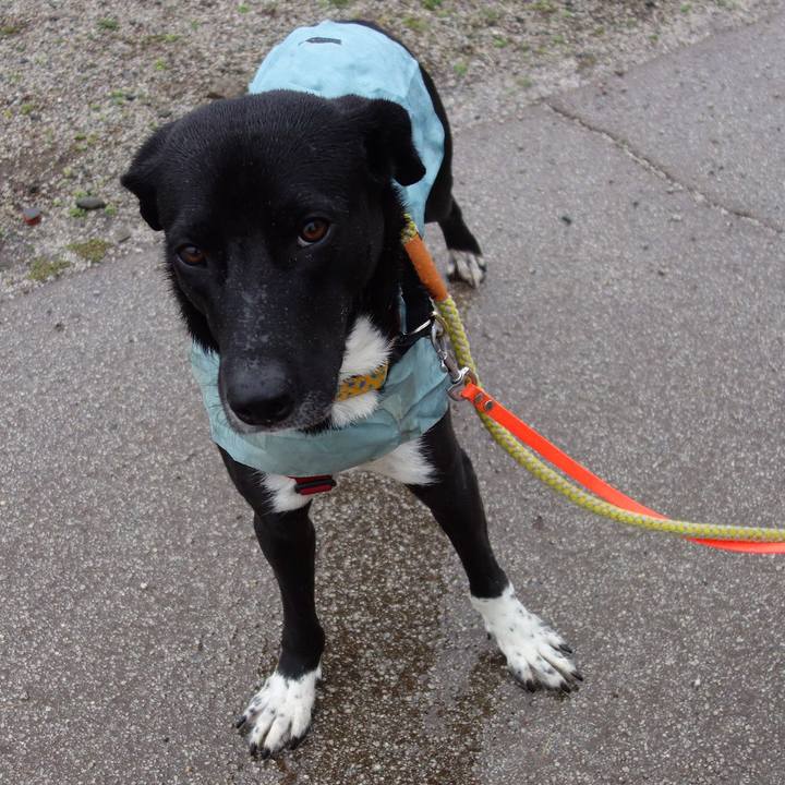 5868d0e4 67f7 4ac0 bec1 8007322586cb 1583627433818