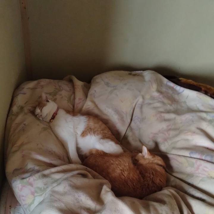 58691ada 5fdc 4927 8874 68656c7f0c2e 1742176462704