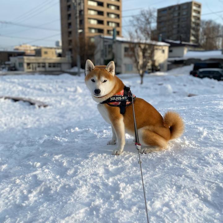 58691f27 4ca2 4b24 8cf0 6a8655c2da7f 1673585345373