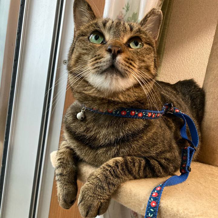 58691fa3 c773 4ccb 8ed9 8e2eceeac491 1594286133361