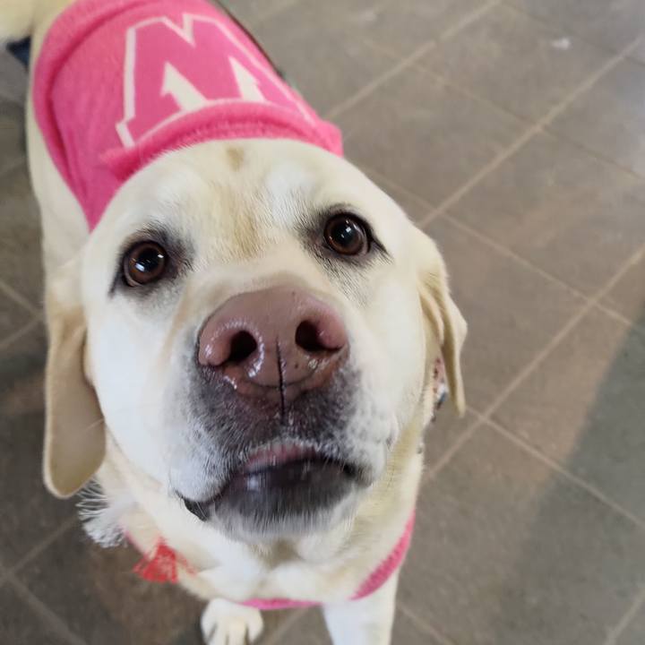 586923bb af73 4e22 8732 d06e9b721c10 1672809330453