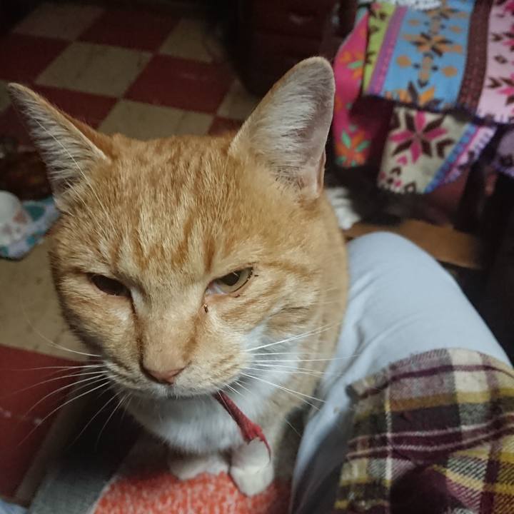 58692e49 aeb4 4766 bb21 fa209ed69153 1574724297579