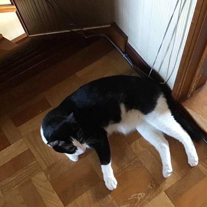 58696bc1 f479 4167 8520 f4c6a0413a7a 1750149685900