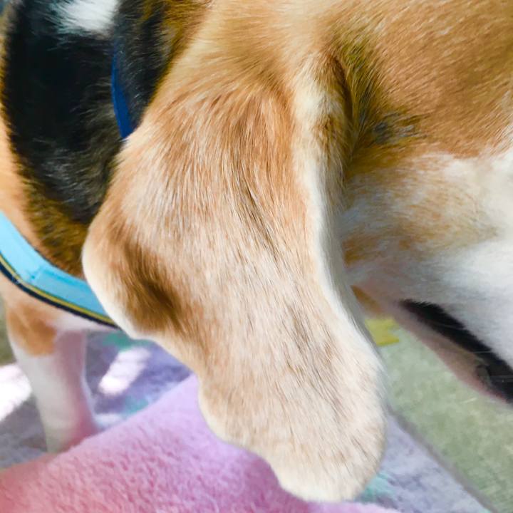 58696d63 d978 4c49 a146 db7af404f4fe 1570604138280