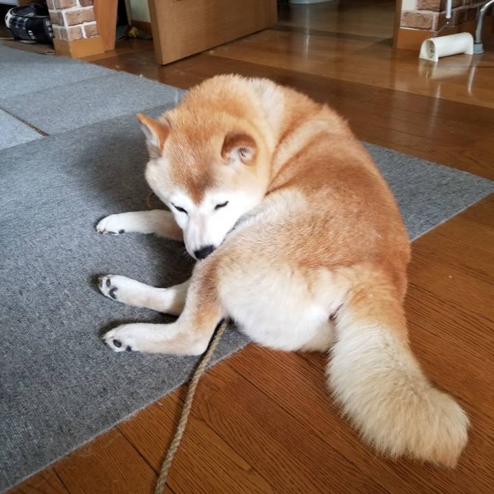 58696fab de53 43af a8c1 803ebd6d57e4 1657764172632