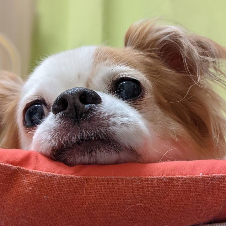 58697b9b bcc4 4e43 a99c ebaac72f437f 1624334022577