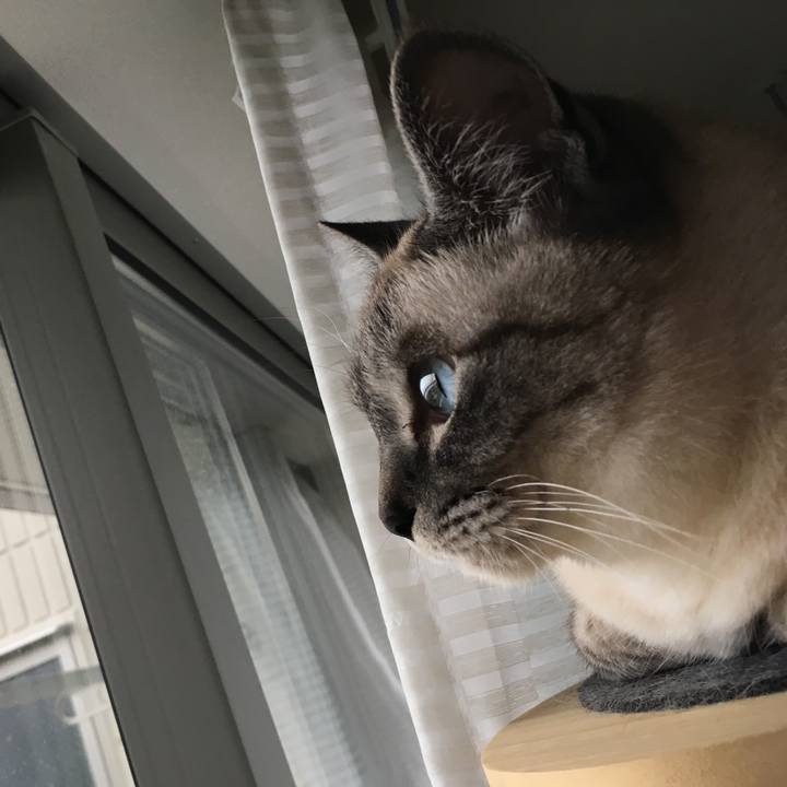 586986bb 837b 4992 b958 831a7e000eb4 1590998593296