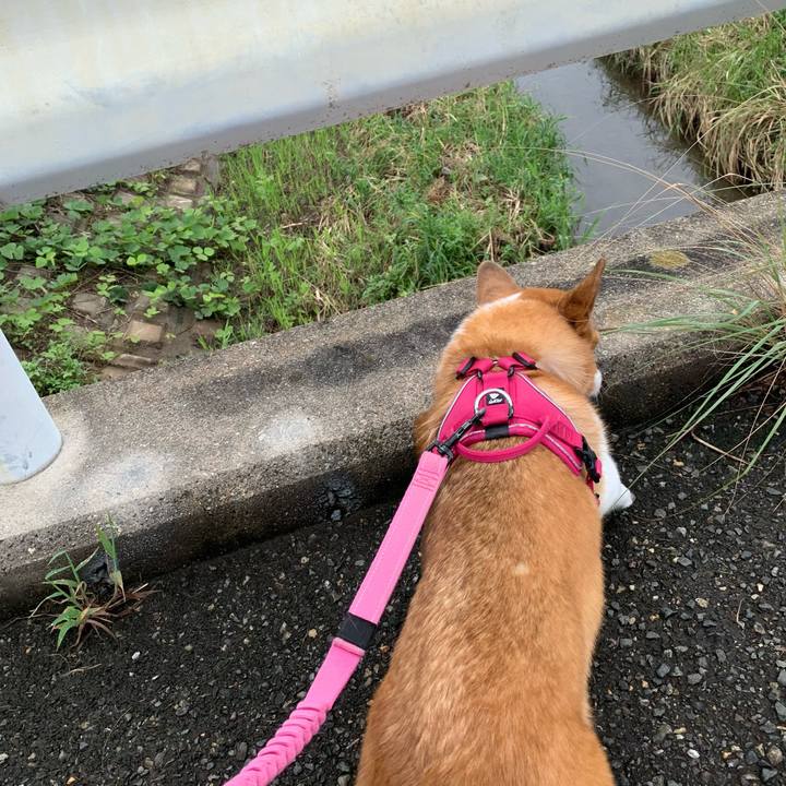 5869ac59 6a83 4055 902b a6912b8a115e 1694219725431