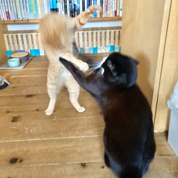 5869cd48 67e5 48ba 8478 1692a9ad49f5 1616537402016