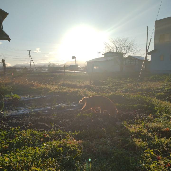 5869d939 e42f 4f9d 84f8 fdad897de704 1668550646080