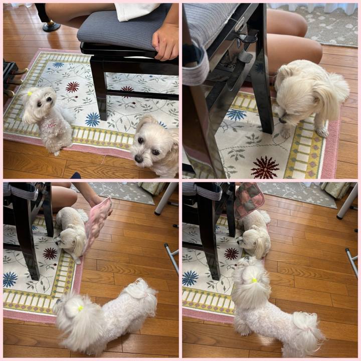 5869f376 661f 4174 acf8 c7d68245965b 1754468159538