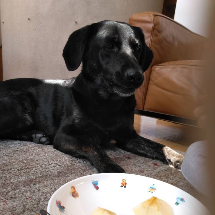 586af8c0 bf36 4411 aad7 a4bfe4634455 1585795872765