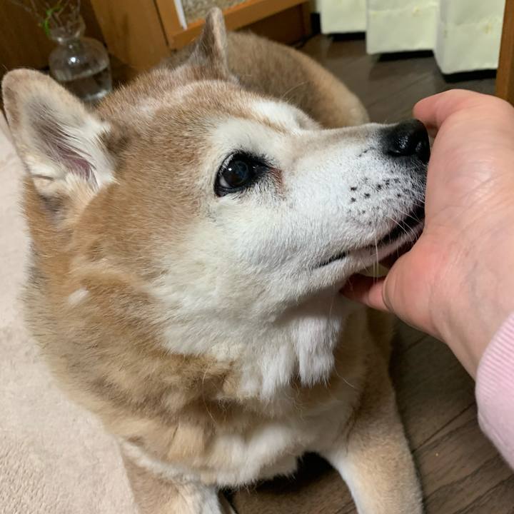 586b57ae 5f5e 4071 9446 e75d2e7035d8 1613309739095