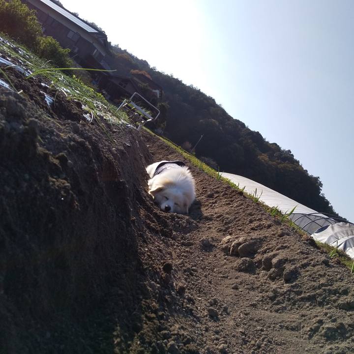 586bddc3 bedd 4f77 abce 568d0bcc2225 1574646350241