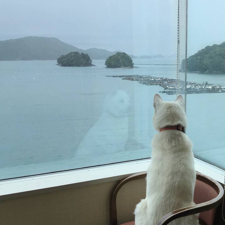 586c5b28 096c 4740 9518 364874fab34a 1523782330003