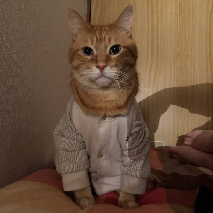 586c5d21 7e76 4466 84d0 f282af9a7ed3 1682717804890