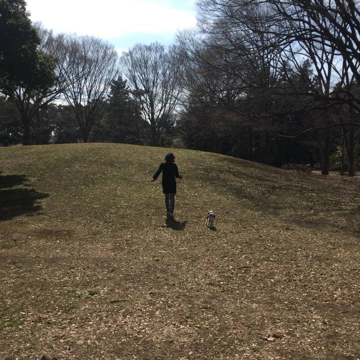 586c62bb 4b8c 433a b70b 2cd417a19b3b 1520067725688