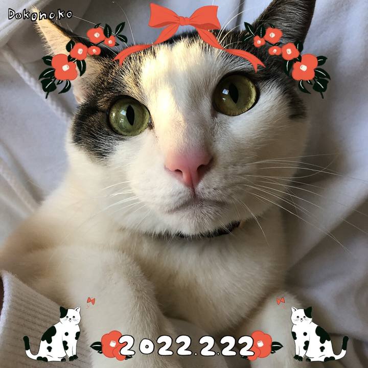 586c7144 d5ed 483a b310 b6f351648c22 1645529956686