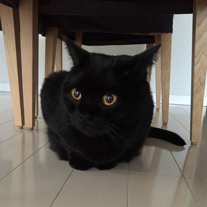 586ccfdf 811f 4137 aca4 bf22a852baad 1583789276360