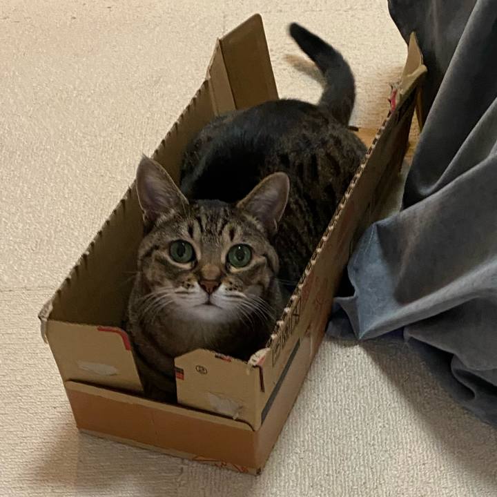 586cda9c 2dd4 425d b8d1 1f1ef32a1b80 1767938606872