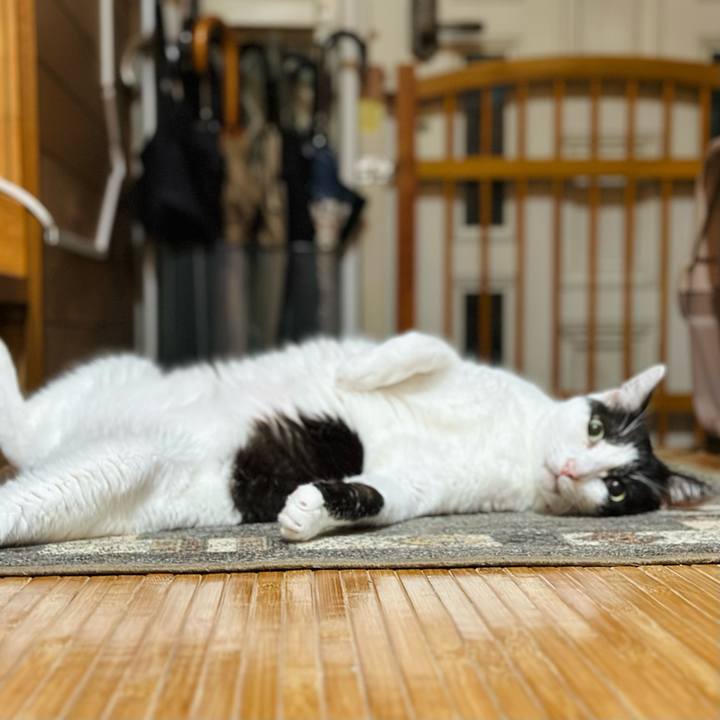 586cfd72 1d8c 44c6 a532 cfce2f1a0a76 1694740511751