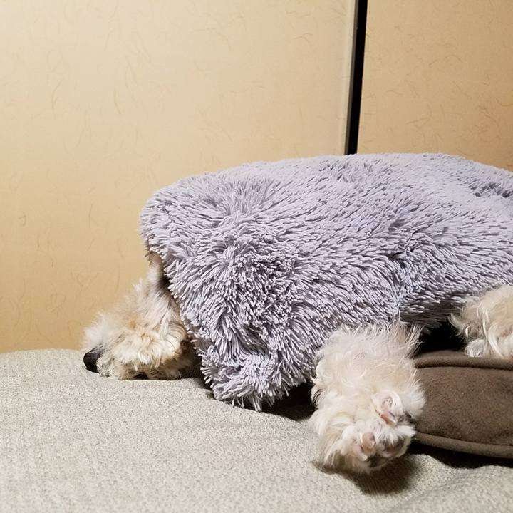 586d2129 cb75 4c18 9def 3156c776b24f 1508670411129