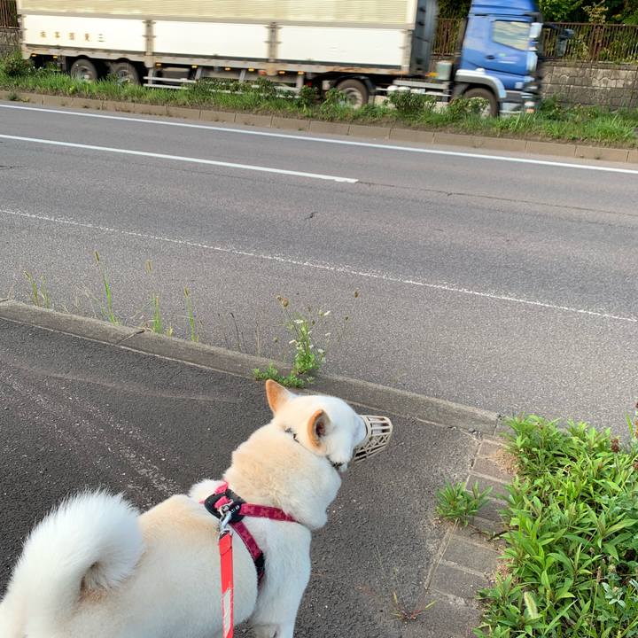 586d6227 1ddd 4a39 bd2c 3a73f418db6b 1568411954918