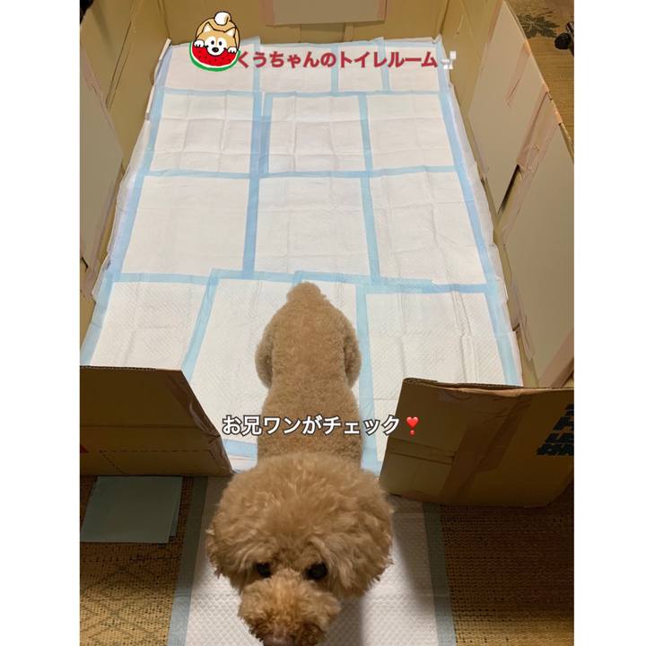 586d71f6 f719 4a12 8249 68c5732bce25 1565521287143