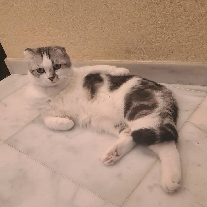 586d849c 1090 4321 af6c 70d4b3c8f392 1664144321382