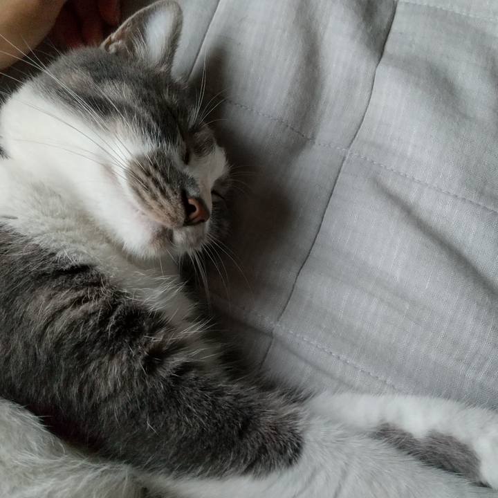 586d8b9f 08a7 4327 8278 603b8059e6b5 1600904933141