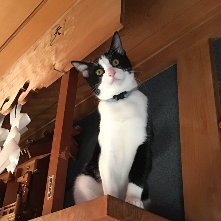 586da1d9 cec3 413c 8611 57f4932ca51e 1635581936079