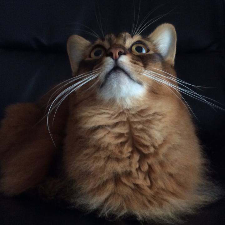 586dab91 0413 4b9f 8957 e7e82ccabeda 1605051343262