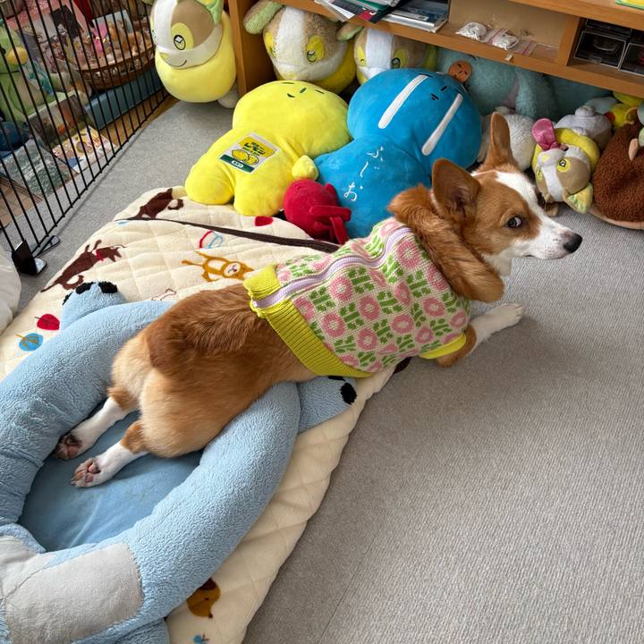 586dc18b cf81 435e a5ec 140c3453c2c1 1769666515943