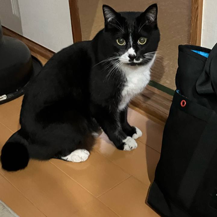 586dc552 d021 46a7 9343 99f328ca4661 1684207797503