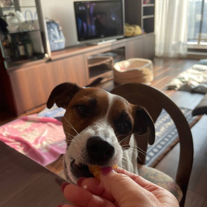 586dc972 b8c0 4f7f 8cbb 3c131cdd2ef0 1646177125597