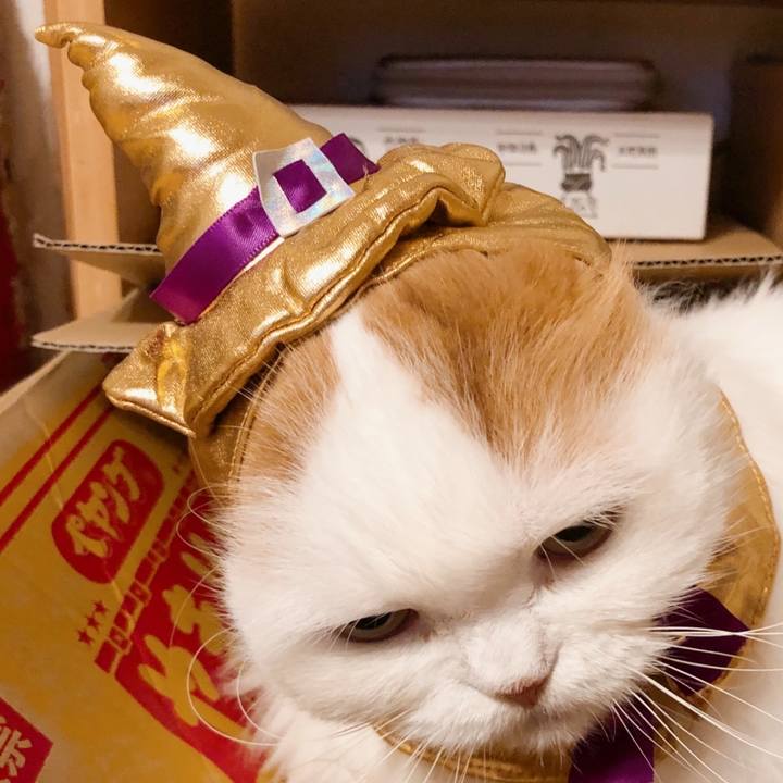 586dddfb 25e2 4367 99c2 bf6903253503 1761878185841