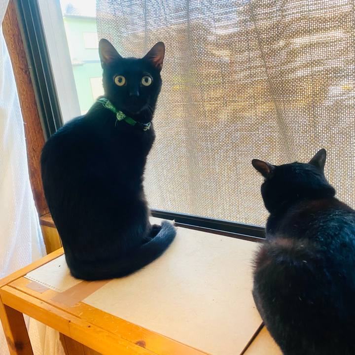 586ddead 449f 4337 a0ed 51dcf0195ba2 1660773850315