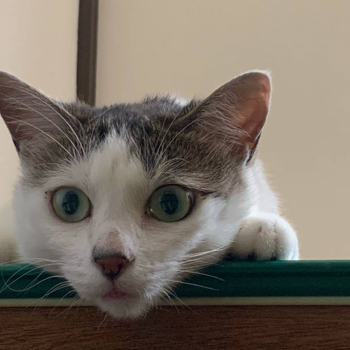 586df798 6bb7 43ae ab8d 54f0e51e60fb 1659749326394