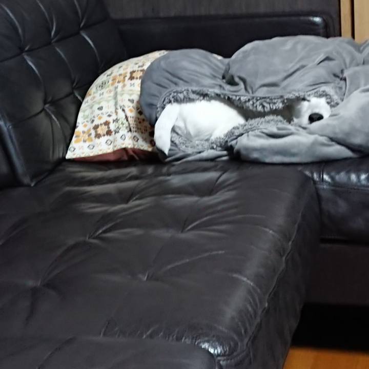 586e187e 9c62 4608 a6ad 974695aefc86 1555283891743