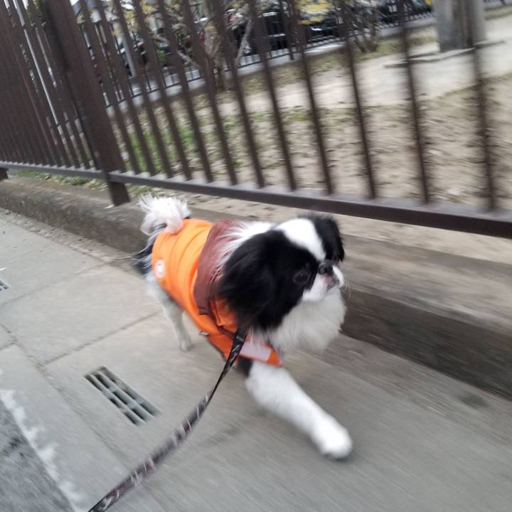 586e1cce 5a7f 4c51 b7ea c2e5a75b1b6e 1646949515294