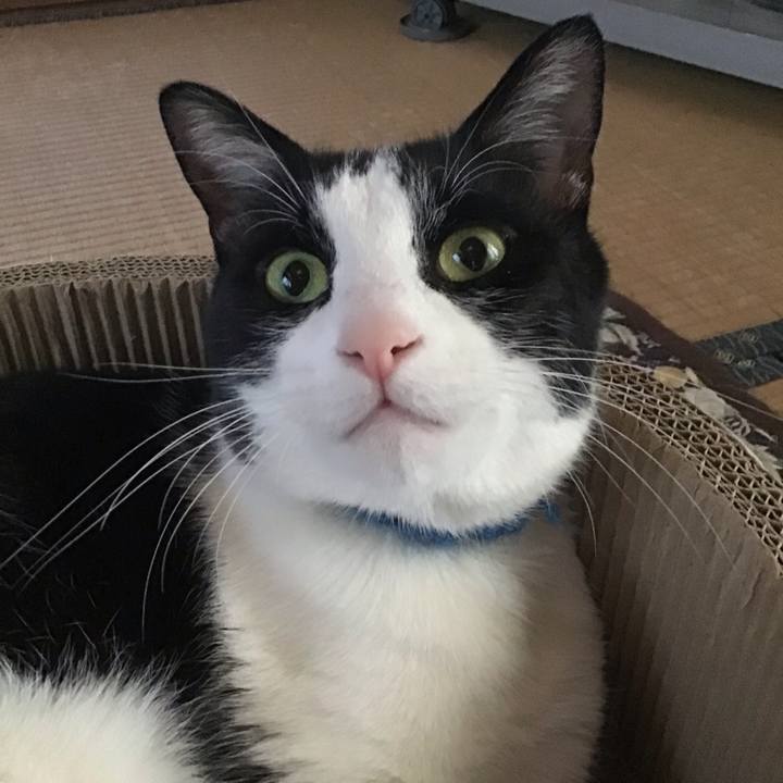 586e37f8 ceeb 4f03 ba25 6417f16cfdd7 1746253507708