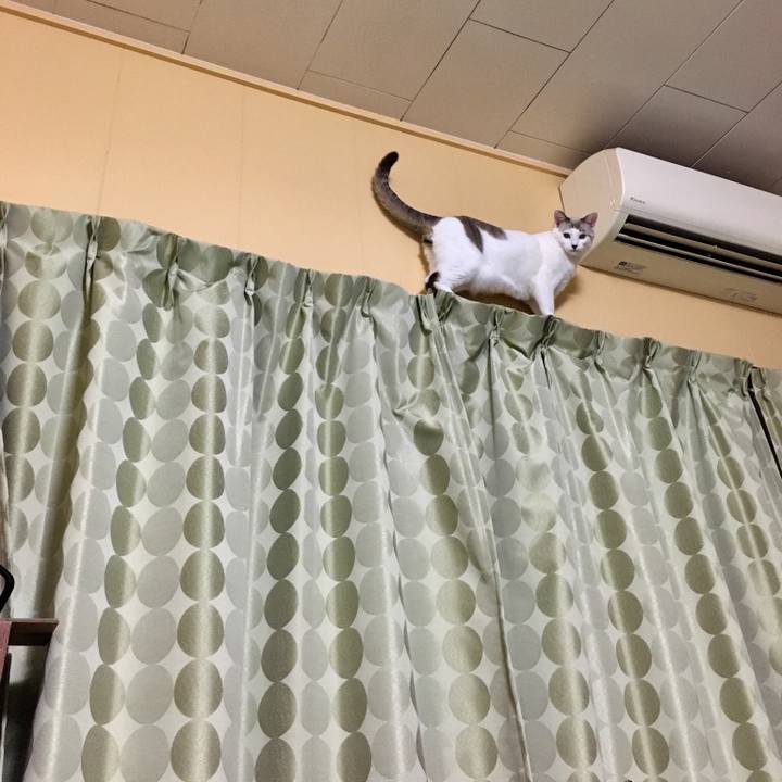 586e50fe 5e69 488f 9019 2e7a521f3c01 1543757839354