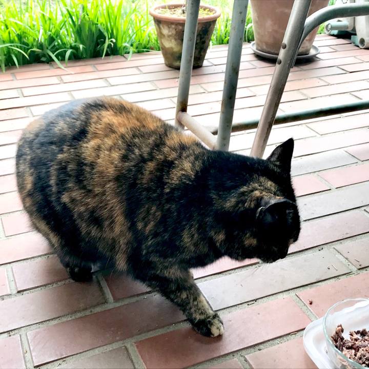 586e86e8 92cf 4d7a b05f a84ef5b99351 1553996763890