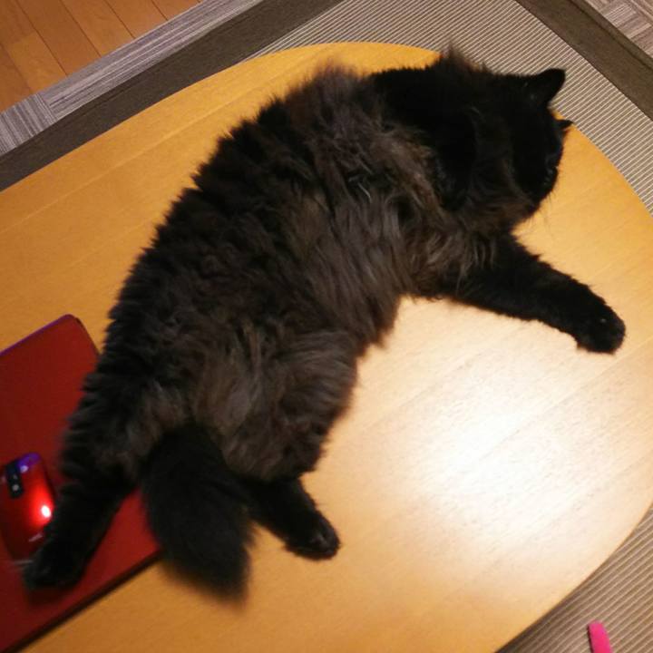 586e8993 d337 4a3f 986f 3fe6dcd20bc1 1532773353481