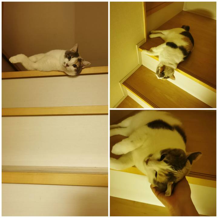 586eae9f a492 4f66 9851 77237a117517 1668232456143