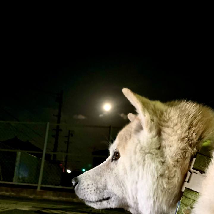 586ec30a 7781 475b ab7e 00787c77446a 1614474630860