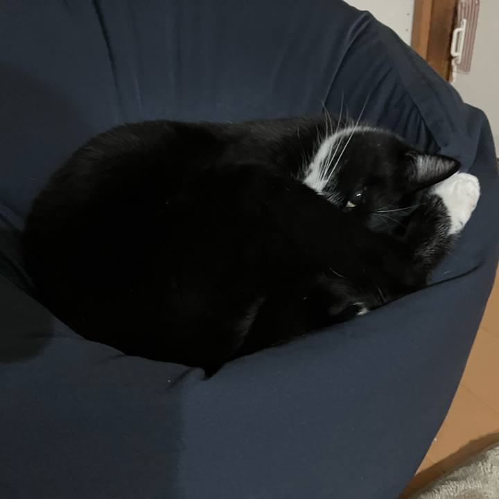 586ede4c 392f 42e5 82af 40106bbad480 1678246676854