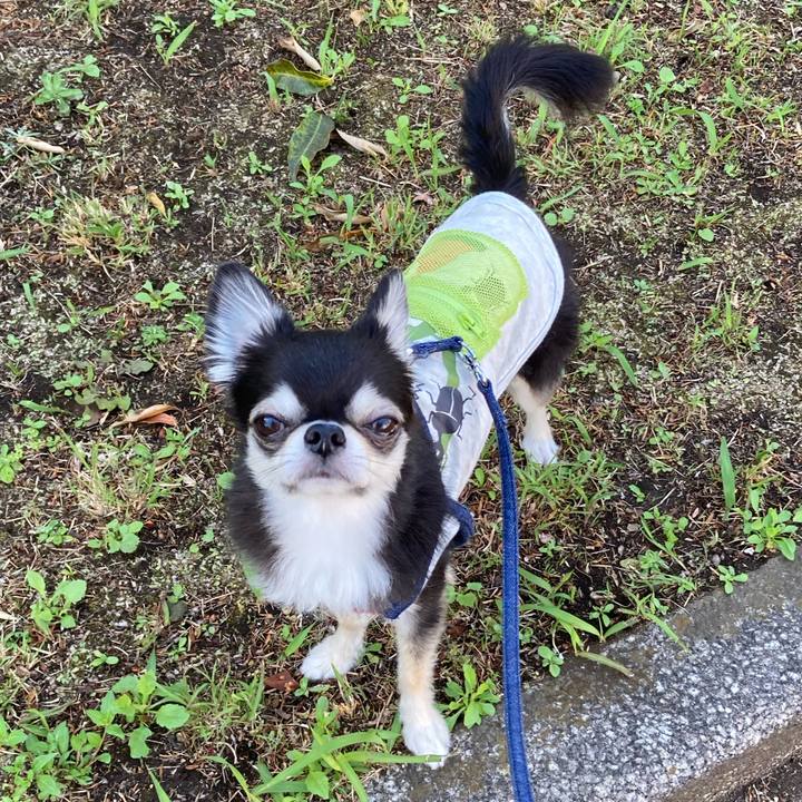 586f13e2 432c 40ea 9cb3 44262fbb2efa 1683213863321